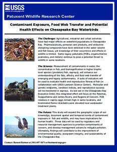 Flame retardant / Chesapeake Bay / Brominated flame retardant / Geography of the United States / Earth / Environment / Biomagnification / Pollution