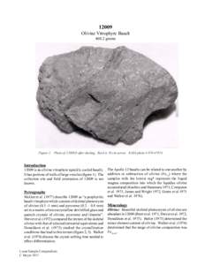 12009 Olivine Vitrophyre Basalt[removed]grams Figure 1: Photo of 12009,0 after dusting. Rock is 10 cm across. NASA photo # S70-47874.