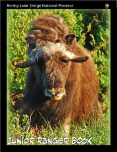 Bering Land Bridge National Preserve  Junior Ranger Book Want to Become a Junior Ranger? A Junior Ranger at Bering Land Bridge National Preserve will have fun learning,