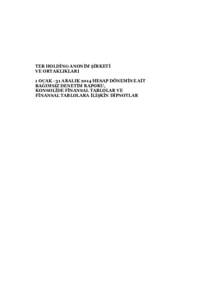 TEB HOLDİNG ANONİM ŞİRKETİ VE ORTAKLIKLARI 1 OCAK - 31 ARALIK 2014 HESAP DÖNEMİNE AİT BAĞIMSIZ DENETİM RAPORU, KONSOLİDE FİNANSAL TABLOLAR VE FİNANSAL TABLOLARA İLİŞKİN DİPNOTLAR