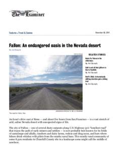 November 30, 2014  Features » Travel & Casinos |  Fallon: An endangered oasis in the Nevada desert