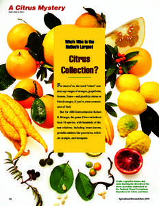 Botany / Tropical agriculture / Food and drink / National Clonal Germplasm Repository / Medicinal plants / Orange / Citron / Germplasm / Lemon / Citrus / Ornamental trees / Agriculture