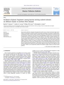 Incidence of plastic fragments among burrow-nesting seabird colonies on offshore islands in northern New Zealand
