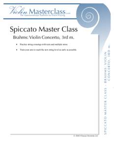 ViolinMasterclass The Sassmannshaus Tradition for Violin Playing .com  Spiccato Master Class
