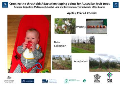 Crossing the threshold: Adaptation tipping points for Australian fruit trees Rebecca Darbyshire, Melbourne School of Land and Environment, The University of Melbourne Apples, Pears & Cherries  Impacts