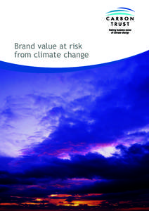 Brand value at risk from climate change Contents Foreword from Tom Delay