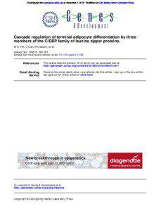 Downloaded from genesdev.cshlp.org on November 7, [removed]Published by Cold Spring Harbor Laboratory Press  Cascade regulation of terminal adipocyte differentiation by three