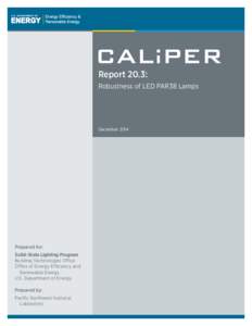 Report 20.3: Robustness of LED PAR38 Lamps DecemberPrepared for: