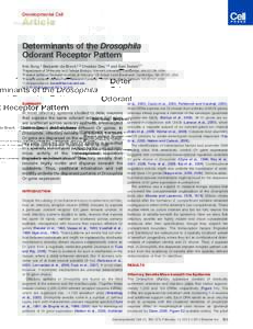 Determinants of the Drosophila Odorant Receptor Pattern