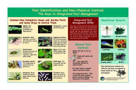 Pest Identification and Non-Chemical Controls The Keys to Integrated Pest Management Common New Hampshire House and Garden Pests and Some Ways to Control Them Aphids: Buy ladybugs or