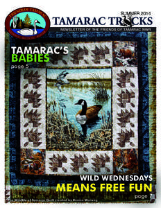 SUMMER[removed]TAMARAC TR CKS NEWSLETTER OF THE FRIENDS OF TAMARAC NWR  TAMARAC’S