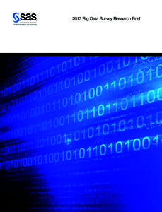 2013 Big Data Survey Research Brief  2013 Big Data Survey The promise of big data has tantalized the industry for years, but until recently, few organizations have been able to use the data they’ve collected to solve 