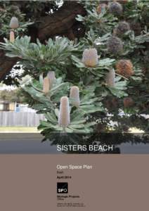 States and territories of Australia / Ornamental trees / Trees of Australia / Sisters Beach /  Tasmania / Banksia serrata / Banksia / Tasmania / Waratah-Wynyard Council / Geography of Tasmania / Geography of Australia / Flora of New South Wales