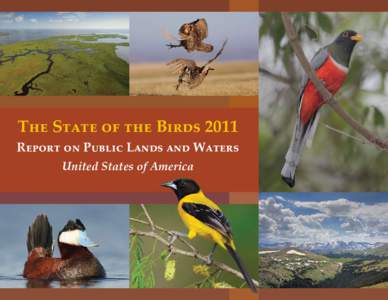 The State of the Birds 2011 Report on Public Lands and Waters United States of America “Birds should be saved for utilitarian reasons; and, moreover, they should be saved because of