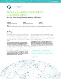 CASE STUDY  Uncovering and Stopping the Effects of a DoS Bot Attack Why Wind Telecomunicazioni SpA chose CloudShield DNS Defender®