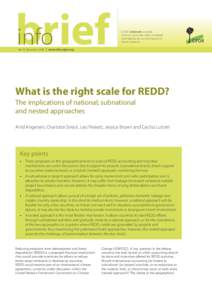 What is the right scale for REDD?: The implications of national, subnational and nested approaches