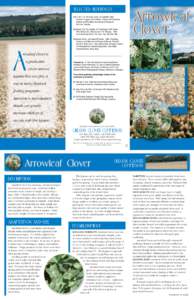 Crops / Pollination management / Groundcovers / Forage / Livestock / Clover / Trifolium incarnatum / Soil / Hay / Agriculture / Botany / Land management