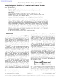 THE JOURNAL OF CHEMICAL PHYSICS 123, 034707 共2005兲  Pattern formation induced by ion-selective surfaces: Models and simulations Szabolcs Horváta兲 Department of Theoretical Physics, Babeș-Bolyai University, Str. K