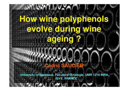 How wine polyphenols evolve during wine ageing ?