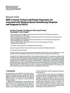 BMP-4 Genetic Variants and Protein Expression Are Associated with Platinum-Based Chemotherapy Response and Prognosis in NSCLC