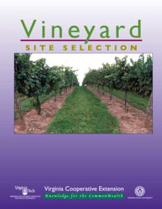 Vineyard S i t e S e l e c t i on  Vineyard Site Selection