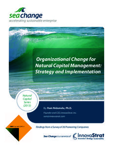 accelerating sustainable enterprise  Organizational Change for Natural Capital Management: Strategy and Implementation