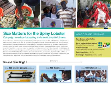 Size Matters for the Spiny Lobster  Campaign to reduce harvesting and sale of juvenile lobsters ABACO ISLAND, BAHAMAS Rare Conservation Fellow