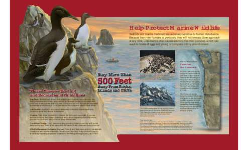 Help Protect Marine Wildlife Seabirds and marine mammals are extremely sensitive to human disturbance. Because they view humans as predators, they will not tolerate close approach at any time. Disturbance often causes ad
