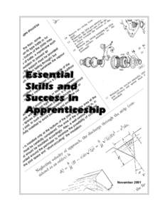 Essential Skills and Success in Apprenticeship  November 2001