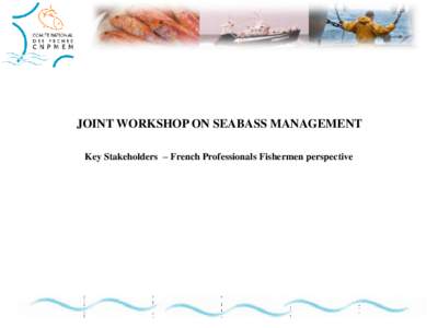 JOINT WORKSHOP ON SEABASS MANAGEMENT Key Stakeholders – French Professionals Fishermen perspective French seabass fisheries France : first contributor in EU[removed]vessels[removed]fishermen Midwater trawlers : few vesse