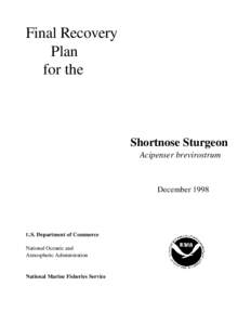 Endangered Species Act / Acipenser / National Marine Fisheries Service / Distinct population segment / Atlantic sturgeon / Green sturgeon / Fish / Sturgeons / Shortnose sturgeon