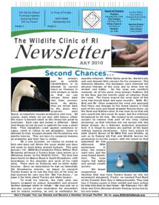 Wildlife rehabilitation / Swans / Cygnus / Mute swan / Wildlife / Duck / Tundra / International Wildlife Rehabilitation Council