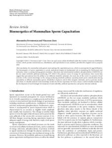 Bioenergetics of Mammalian Sperm Capacitation