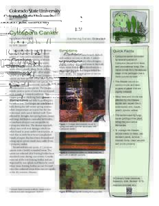 Cytospora Canker Fact Sheet No.	[removed]Gardening Series| Diseases  by W.R. Jacobi*