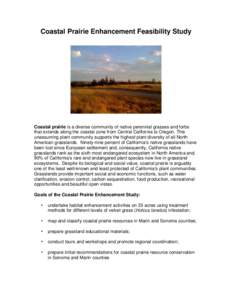 Microsoft Word - Grassland Flyer CAL.doc