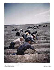 Japanese-American camp, war emergency evacuation, [Tule Lake Relocation Center, Newell, Calif.