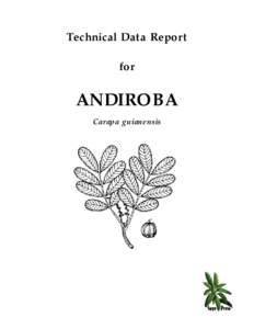 Technical Data Report for ANDIROBA Carapa guianensis