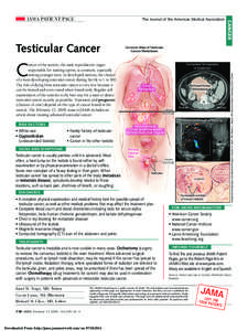 The Journal of the American Medical Association  Common Sites of Testicular Cancer Metastases  C