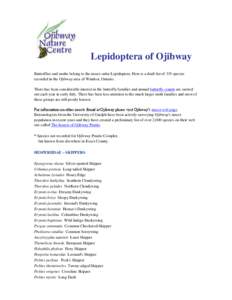 Lepidoptera of Ojibway Butterflies and moths belong to the insect order Lepidoptera. Here is a draft list of 335 species recorded in the Ojibway area of Windsor, Ontario. There has been considerable interest in the butte