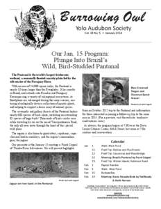 Yolo Audubon Society Vol. 44 No. 5 • January 2014 Our Jan. 15 Program: Plunge Into Brazil’s Wild, Bird-Studded Pantanal