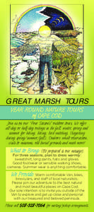 GREAT MARSH TOURS YEAR ROUND NATURE TOURS of CAPE COD Join us on our “Four Season’s” outdoor tours. We offer all-day or half-day outings in the fall, winter, spring and