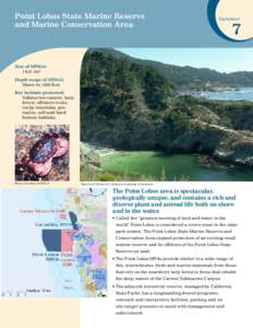 Point Lobos State Marine Reserve and Marine Conservation Area Factsheet  7