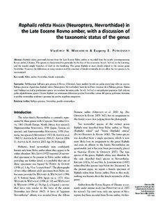 Rophalis relicta HAGEN (Neuroptera, Nevrorthidae) in the Late Eocene Rovno amber, with a discussion of the taxonomic status of the genus