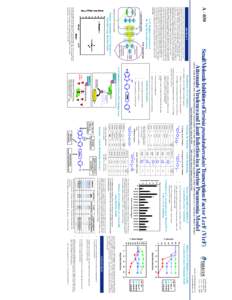 Yersinia pseudotuberculosis / Protein families / Transcription factor / Biology / Bacterial diseases / Enterobacteria