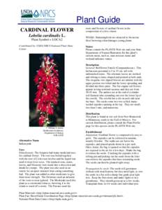 Plant Guide CARDINAL FLOWER Lobelia cardinalis L. Plant Symbol = LOCA2 Contributed by: USDA NRCS National Plant Data Center