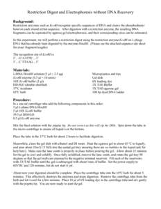 Restriction Digest and Electrophoresis without DNA Recovery