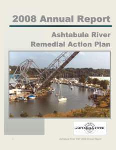 2008 Annual Report - Ashtabula River RAP