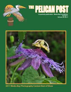 THE  PELICAN POST A quarterly publication - Weeks Bay Foundation Fall 2011 Volume 26, No. 3