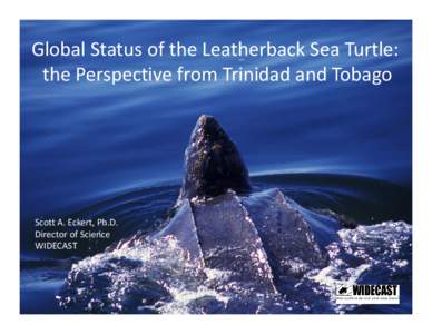 Global Status of the Leatherback Sea Turtle: the Perspective from Trinidad and Tobago Scott A. Eckert, Ph.D. Director of Science WIDECAST