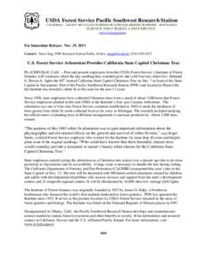 United States Forest Service / Capitol Christmas Tree / Christmas tree / Abies concolor / Sacramento /  California / Eddy Arboretum / Sagehen Creek Field Station / Flora of the United States / Flora of North America / Flora